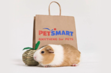 Get a great deal on PetSmart when you shop at PetSmart through Rakuten!